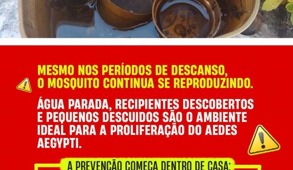 Imagens da A DENGUE NÃO TIRA FÉRIAS. E O CUIDADO TAMBÉM NÃO PODE PARAR