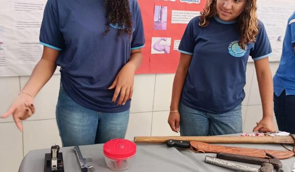A Feira de Ciências da Escola José Pereira foi um verdadeiro show de criatividade, aprendizado e descobertas.  Imagens da A Feira de Ciências da Escola José Pereira foi um verdadeiro show de criatividade, aprendizado e descobertas.